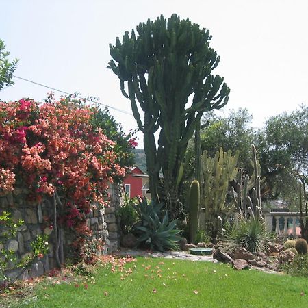 Ca Dei Conti Villa San Bartolomeo Al Mare Bilik gambar