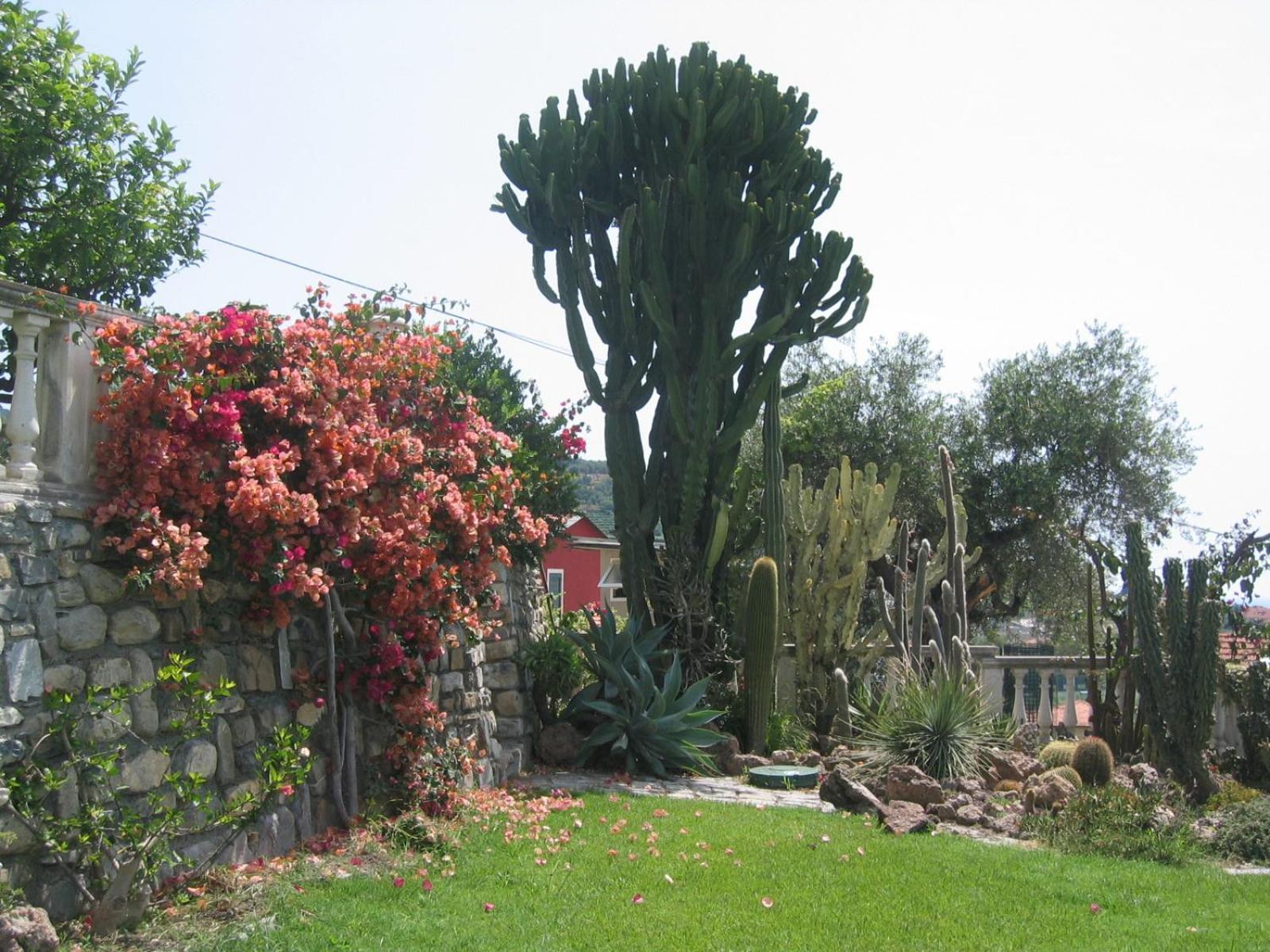 Ca Dei Conti Villa San Bartolomeo Al Mare Bilik gambar